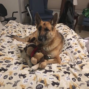 Meet your Posher, Melissa